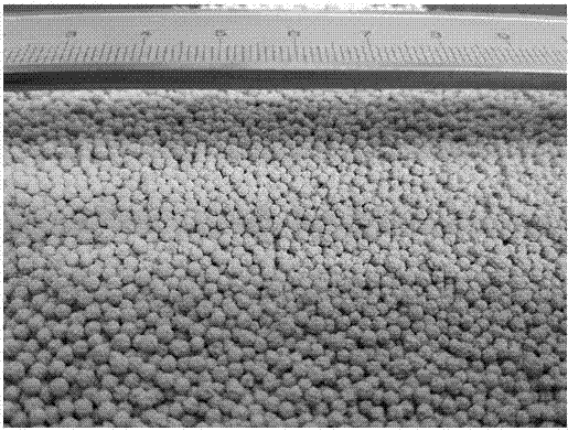 Rapid preparation process of inert dispersion fuel pellet