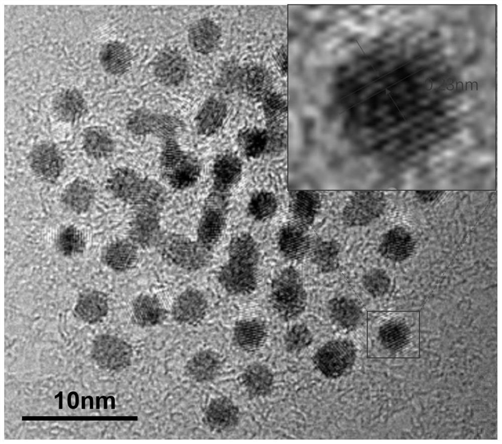 A tumor microenvironment-responsive nuclear-targeted platinum nanoparticle and its preparation method and application