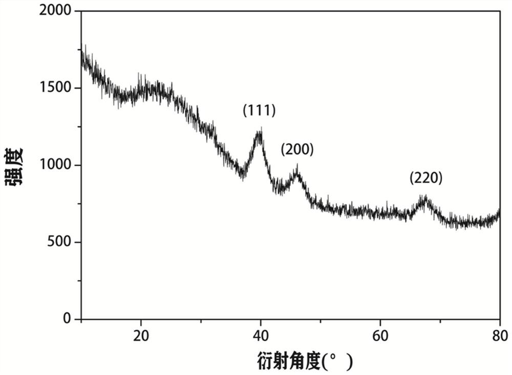 A tumor microenvironment-responsive nuclear-targeted platinum nanoparticle and its preparation method and application