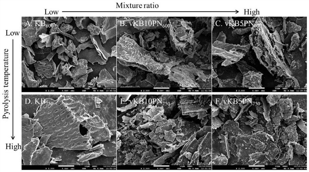 Dual-effect alkali-modified charcoal-based vermiculite compound fertilizer for repairing heavy metal pollution of soil and regulating fertility and preparation method of dual-effect alkali-modified charcoal-based vermiculite compound fertilizer