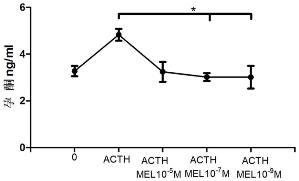 Application of melatonin in delaying in-vitro differentiation of bovine follicular granulosa cells