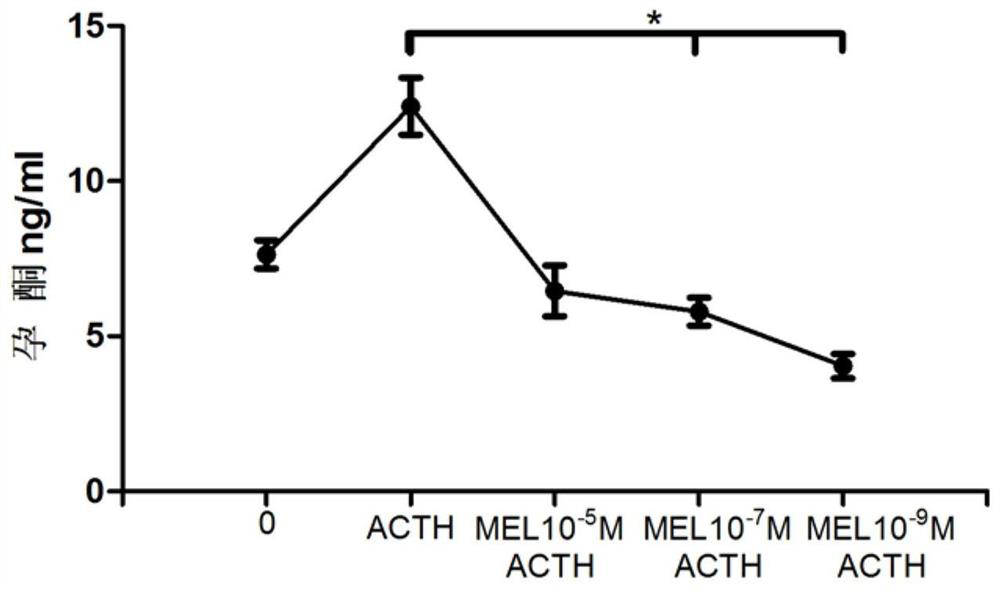 Application of melatonin in delaying in-vitro differentiation of bovine follicular granulosa cells