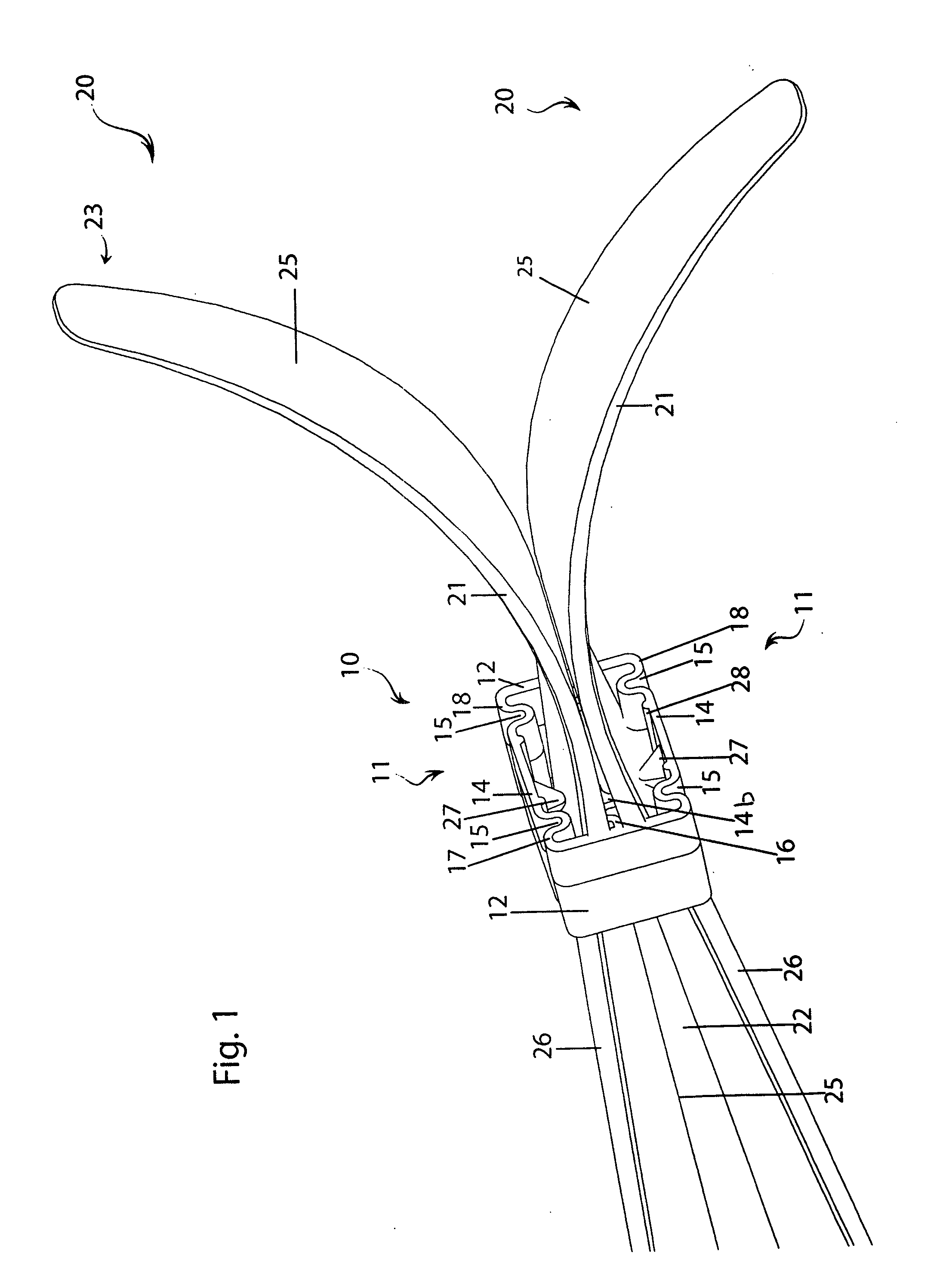 Device for holding a pair of skis together