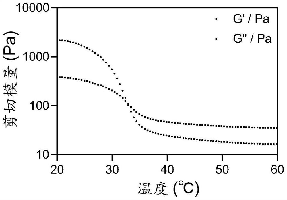 3D-printed tumor vaccine composition as well as preparation method and application thereof