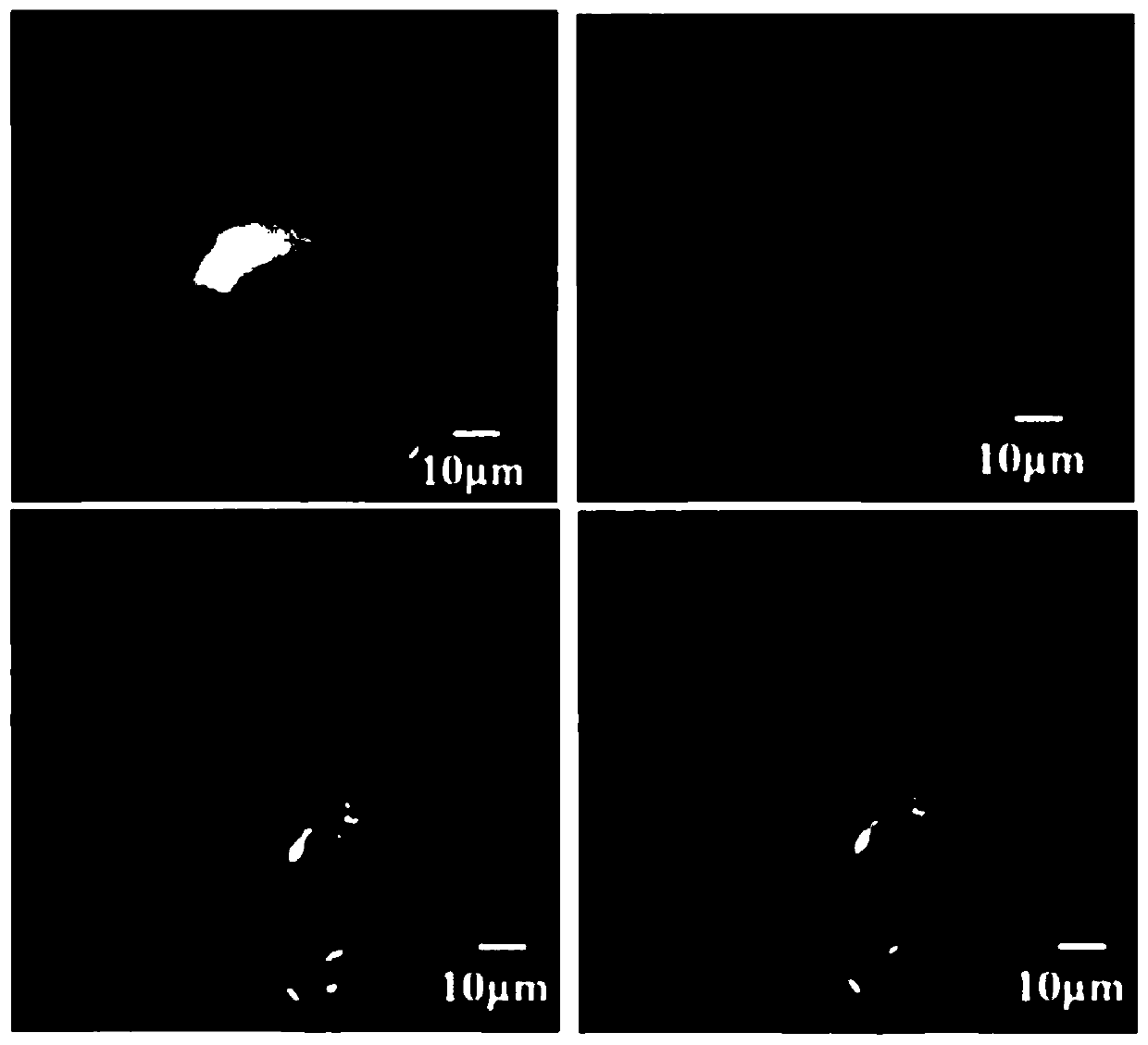 A method for preparing black phosphorus two-dimensional materials based on plasma immersion implantation technology