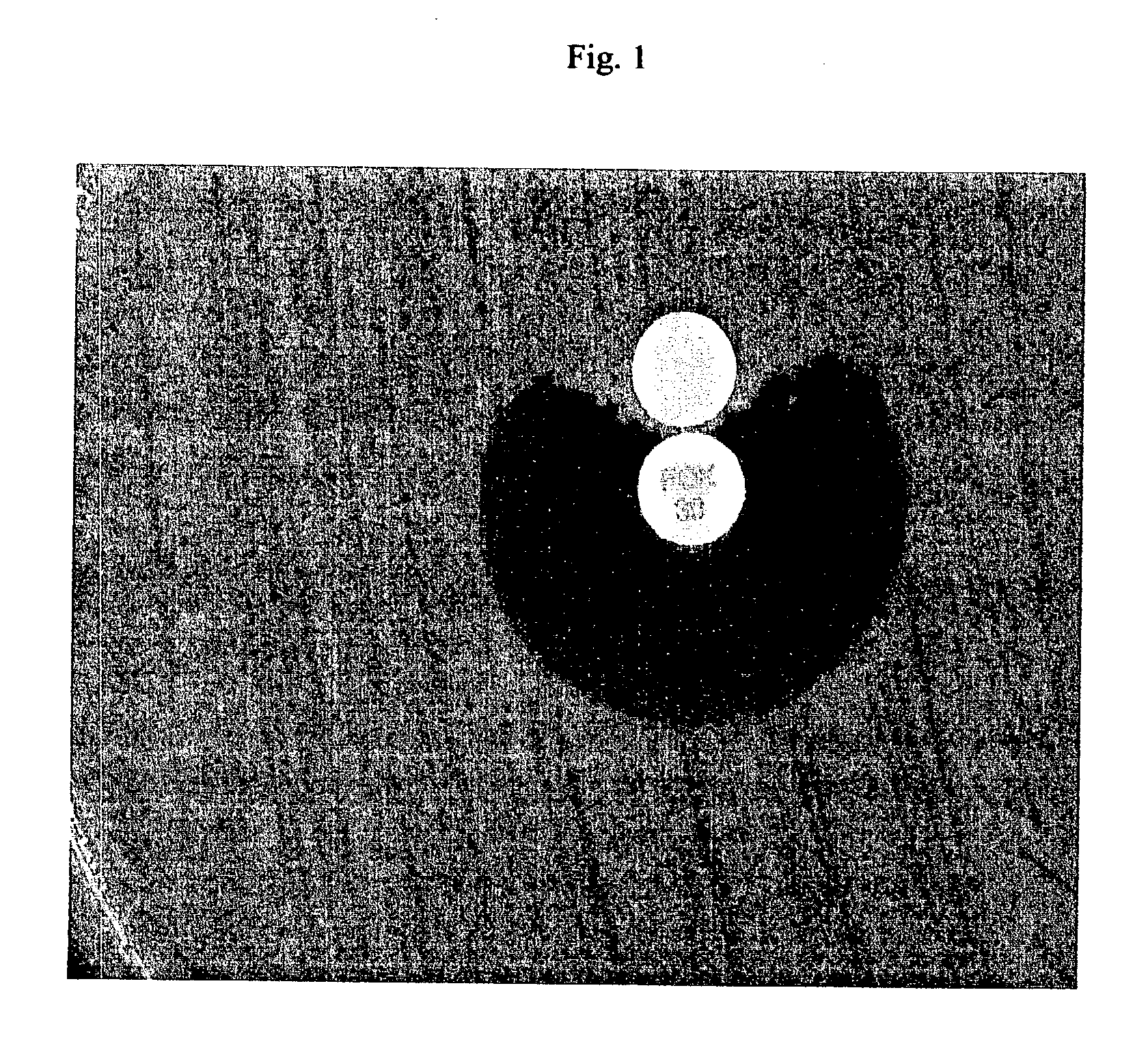 Device and method for detecting antibiotic inactivating enzymes
