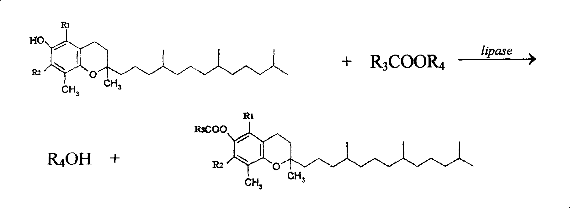 Method for synthesizing natural tocopherol ester catalyzed by lipase