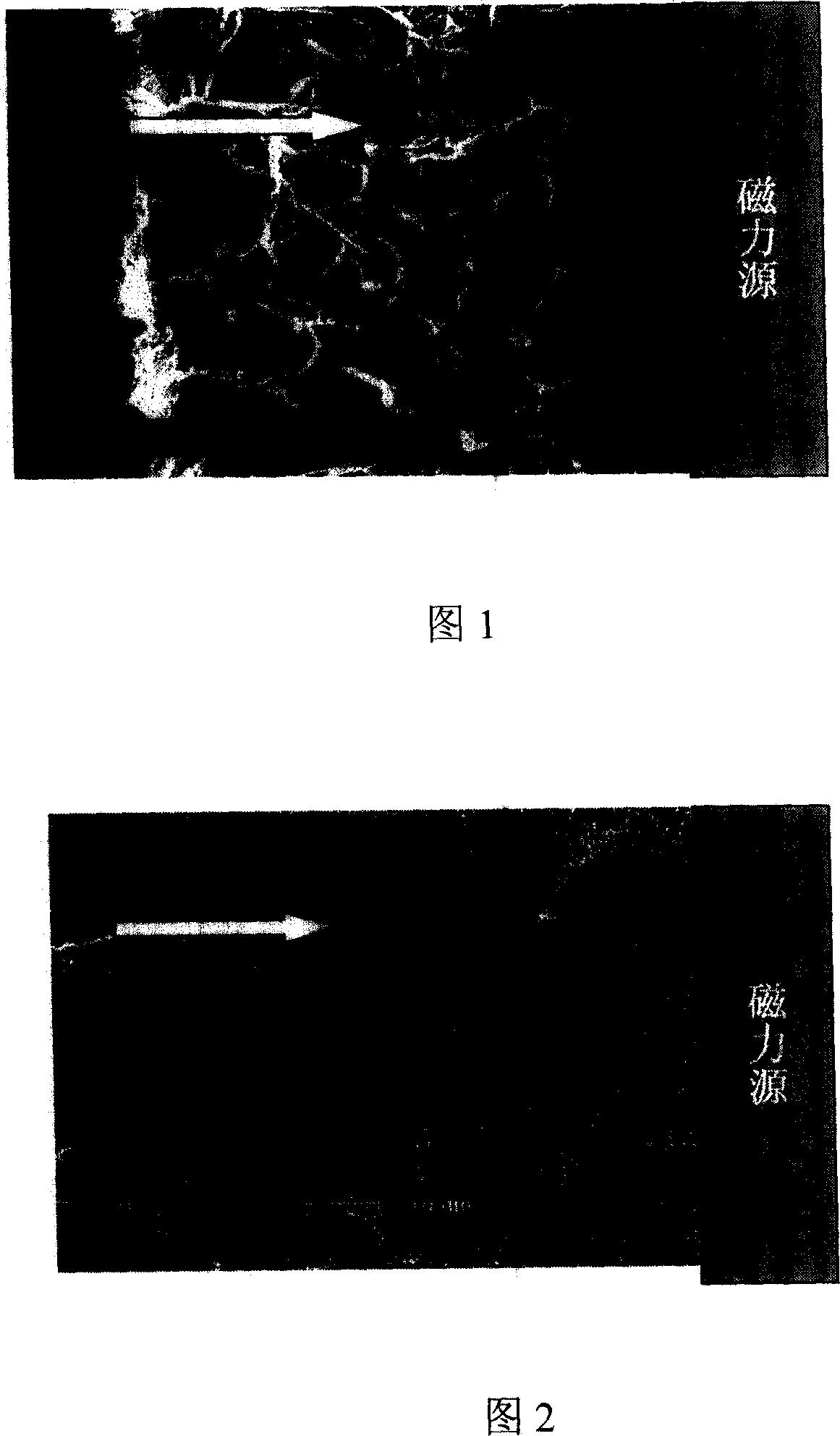 Method for modifying functional coat of gradient dispersed stuffing grains, and application