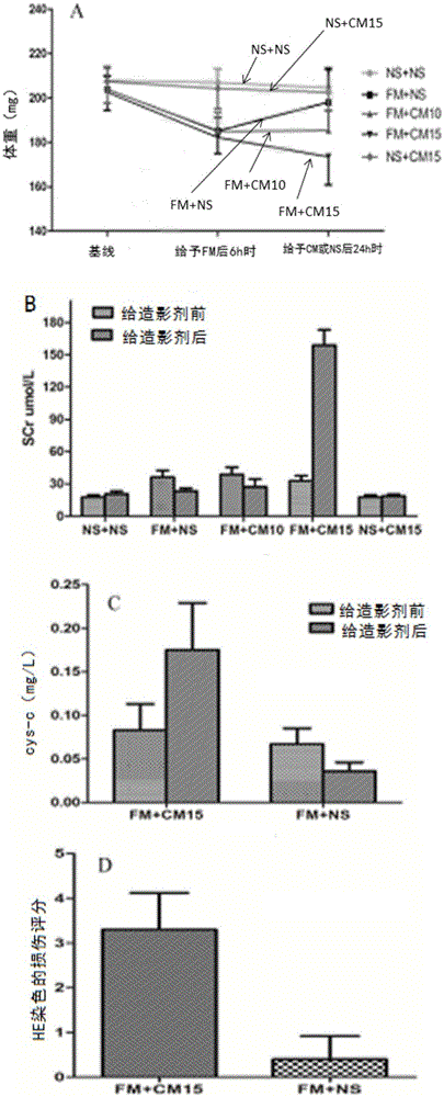 Construction method of contrast agent induced acute kidney injury animal model