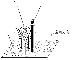 A method of using corn stalks to control desertification and afforestation