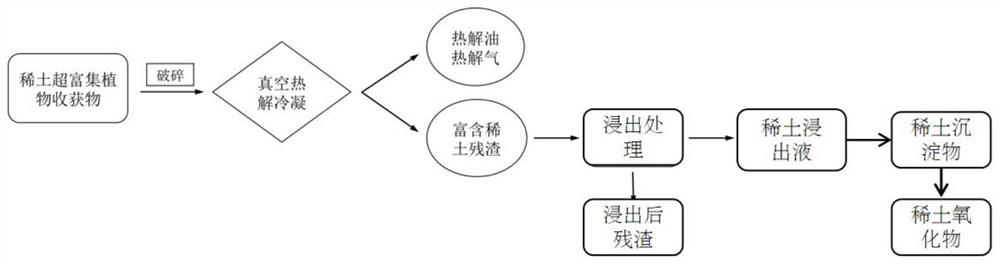 A method for the recovery of rare earth and energy substances from rare earth hyperaccumulator plants