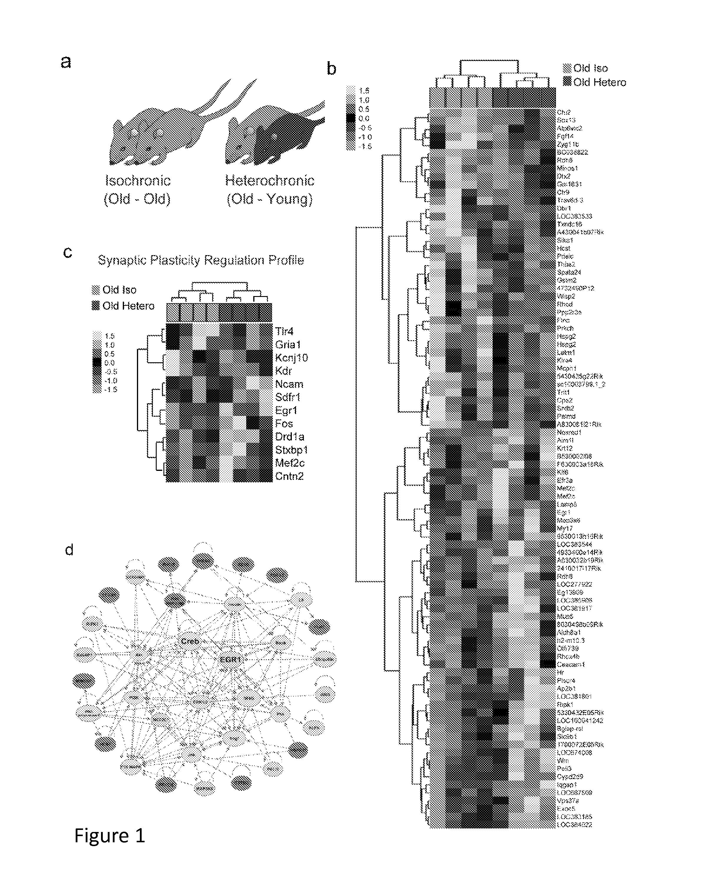 Methods and compositions for treating aging-associated conditions