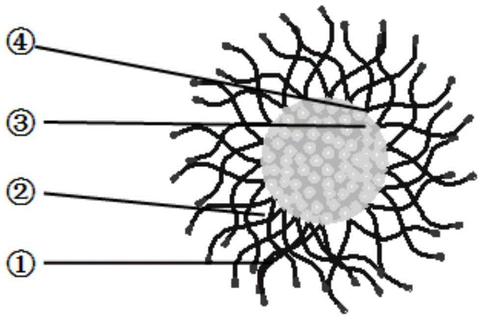 Polymer nano drug microcapsule containing polypyrrolidone