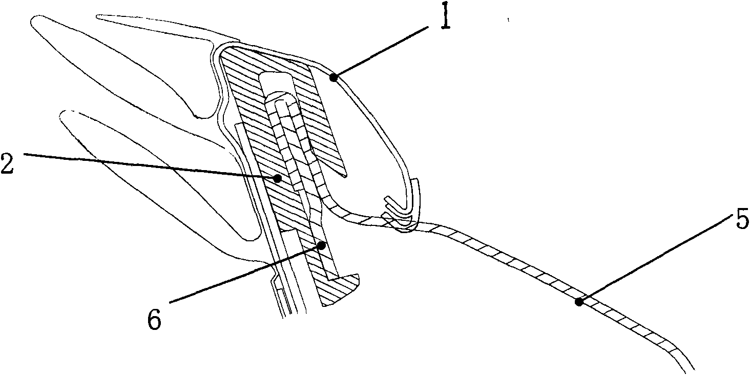 Outer sealing holding strip for vehicle door