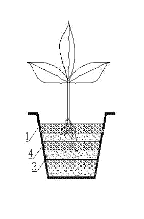Composite sand planting structure