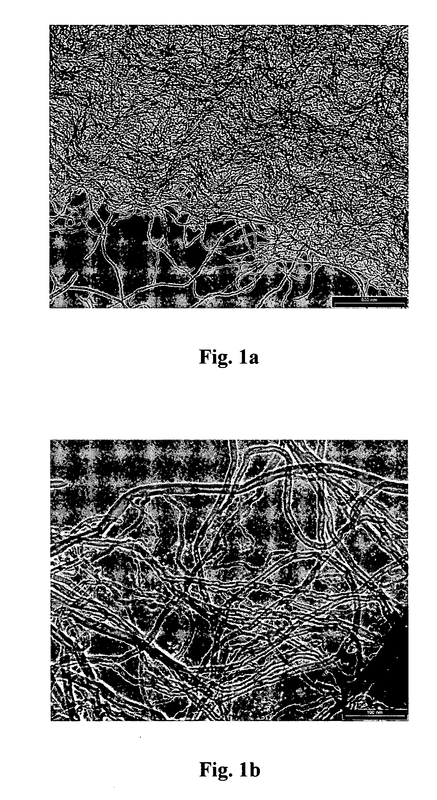 Polymeric compositions containing nanotubes