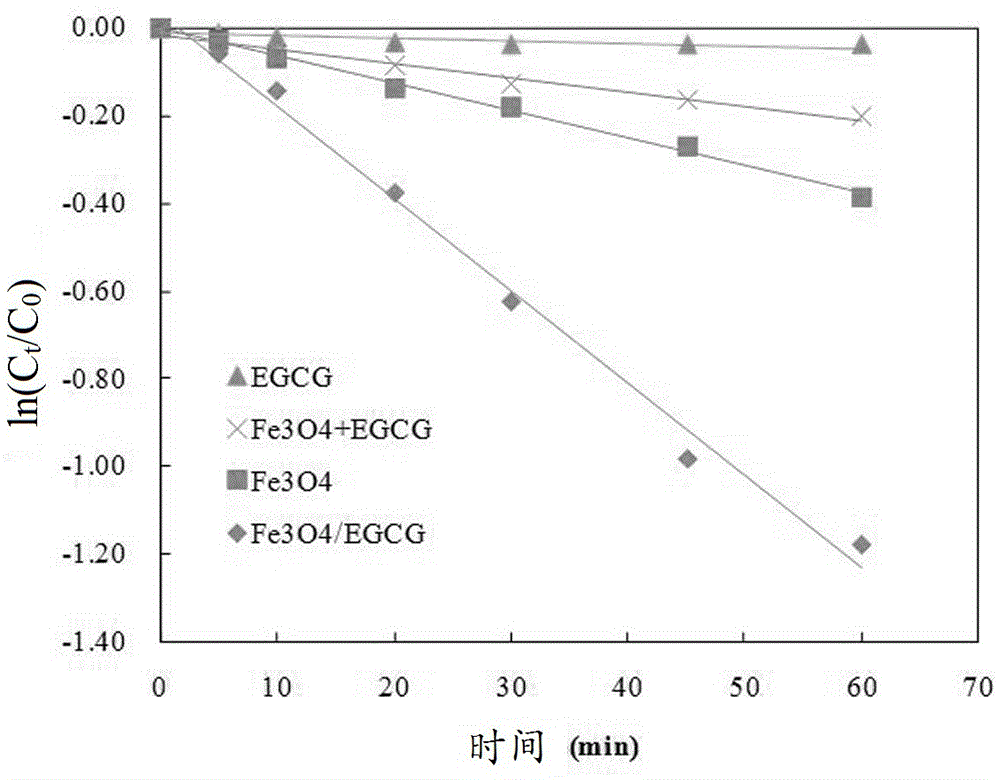 Green tea extract-ferroferric oxide composite catalyst and application thereof