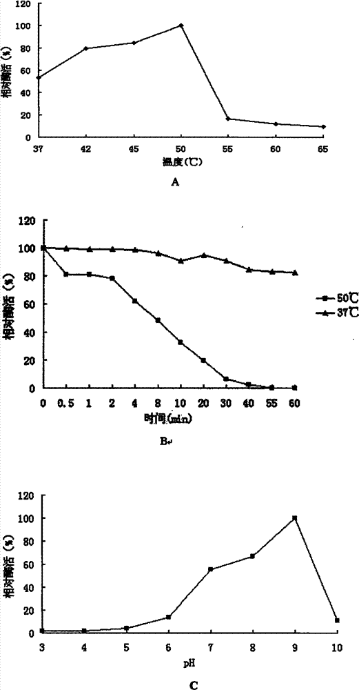 Alpha-galactosidase and coding gene thereof