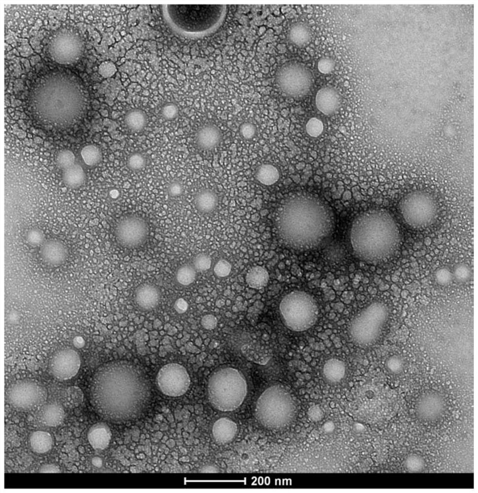 Polymer vesicle, preparation method thereof and drug-loaded vesicle