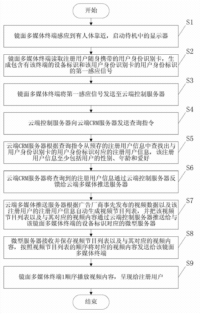 Mirror plane multimedia terminal and multimedia system with same