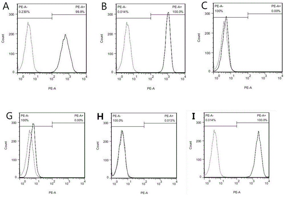 Construction method for human hair follicle stem cell bank