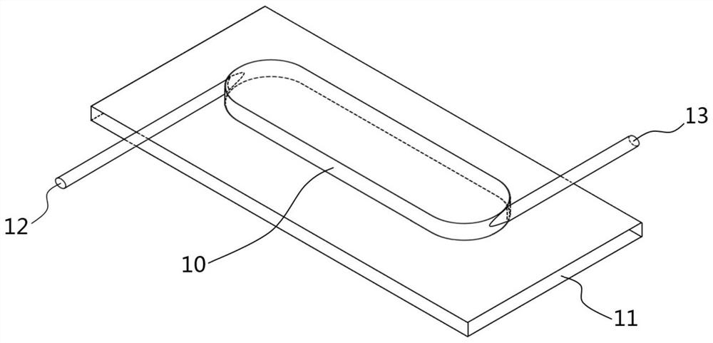 Electrode modified heavy metal ion microfluidic detection chip and preparation method