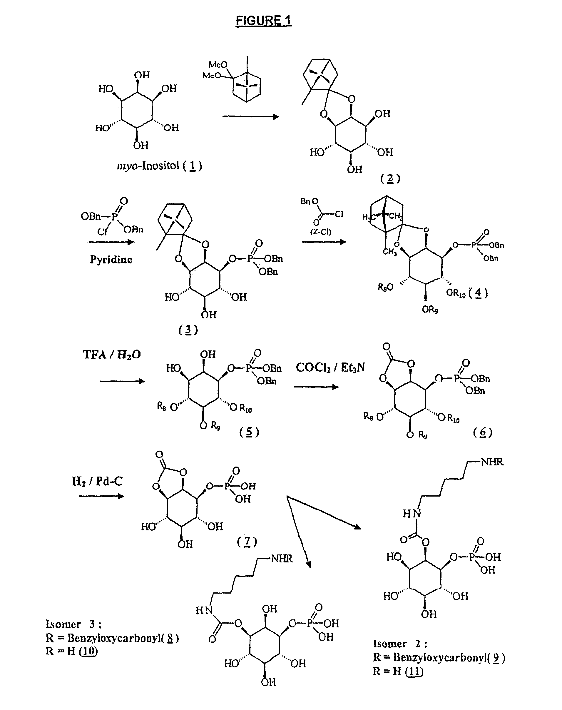 Inositol-phosphate derivatives and method of detecting inositol-1-phosphate