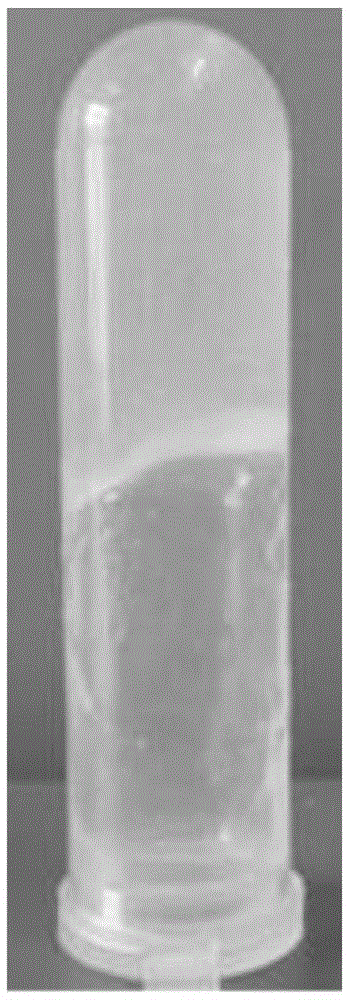 Gel material on basis of silver nano-particles, method for preparing gel material and application thereof