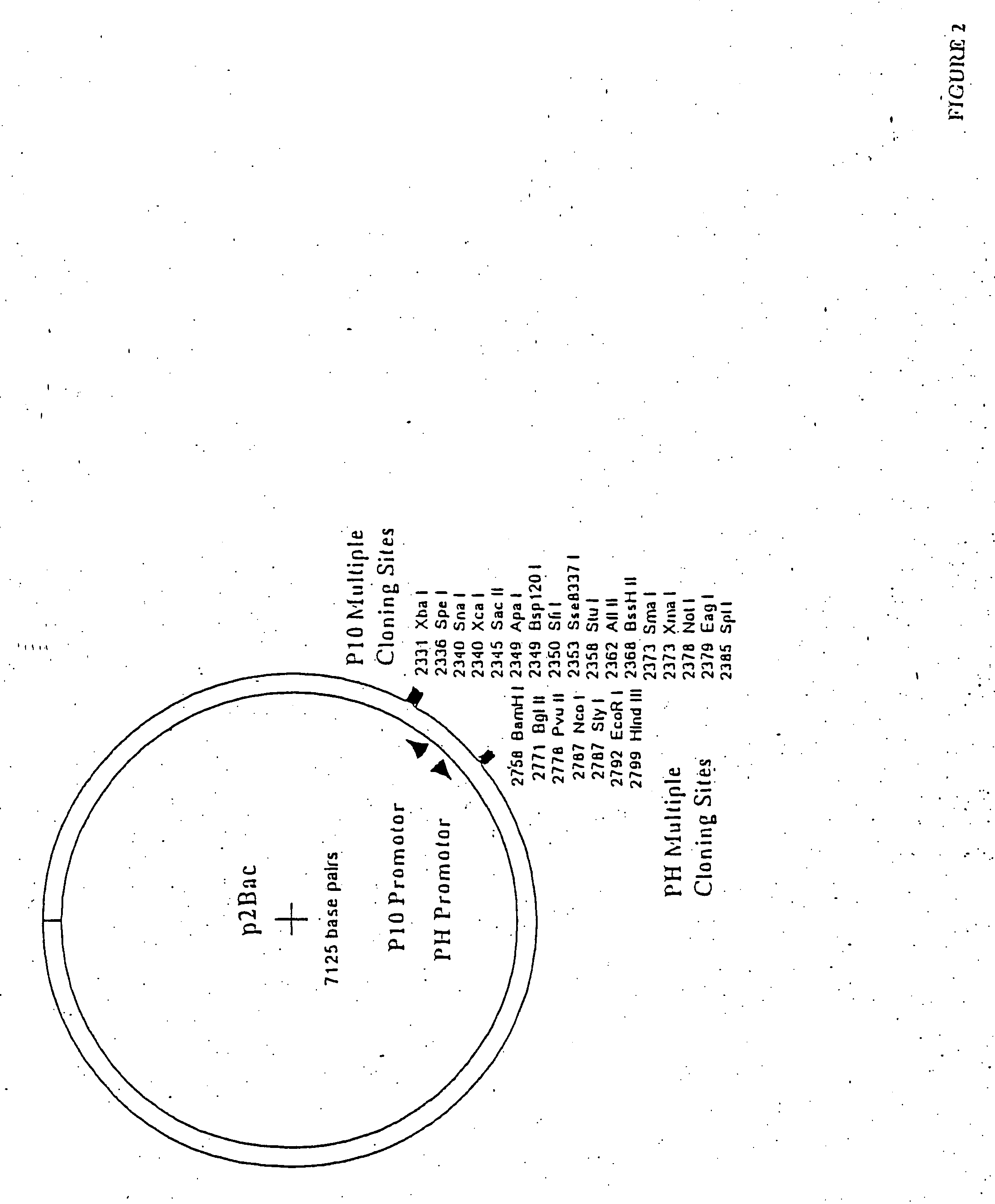 Method and composition for altering a B cell mediated pathology