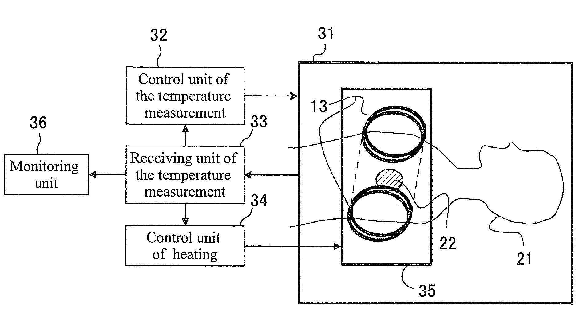 Drug Carrier Containing Magnetic Fine Particles and System Using the Same