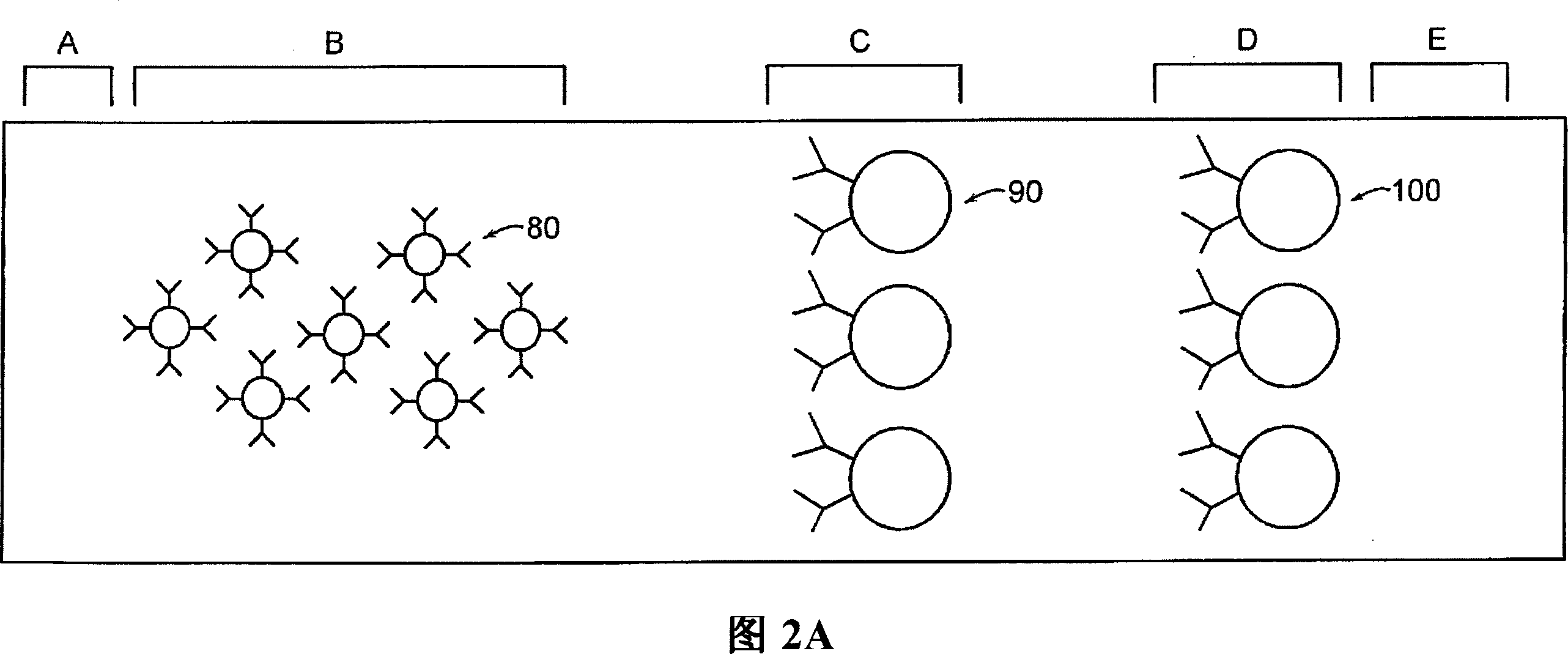 Lateral flow format, materials and methods