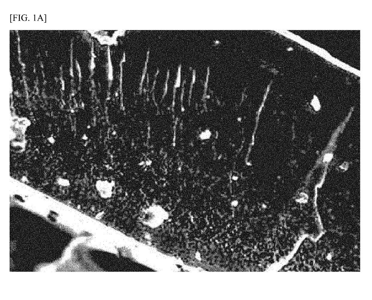 Negative electrode active material for lithium secondary battery