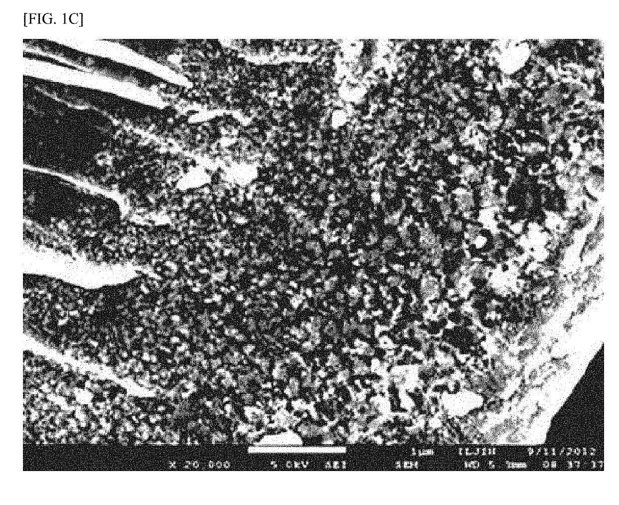 Negative electrode active material for lithium secondary battery