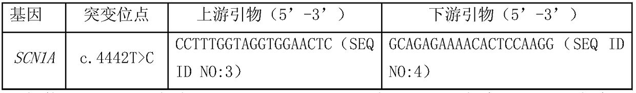 New mutation of scn1a gene in hereditary epilepsy with febrile seizures plus