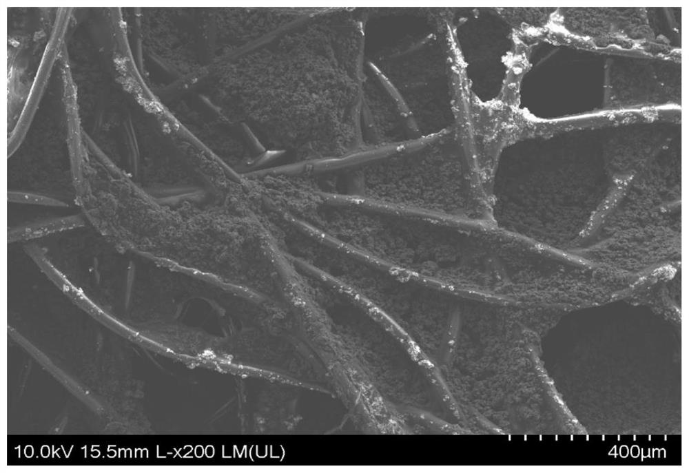 Supported catalyst filter fiber for catalytically degrading pollutants in water and preparation method and application of supported catalyst filter fiber