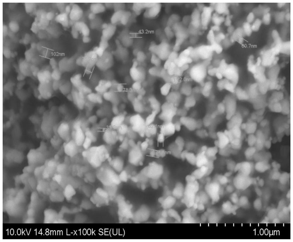 Supported catalyst filter fiber for catalytically degrading pollutants in water and preparation method and application of supported catalyst filter fiber