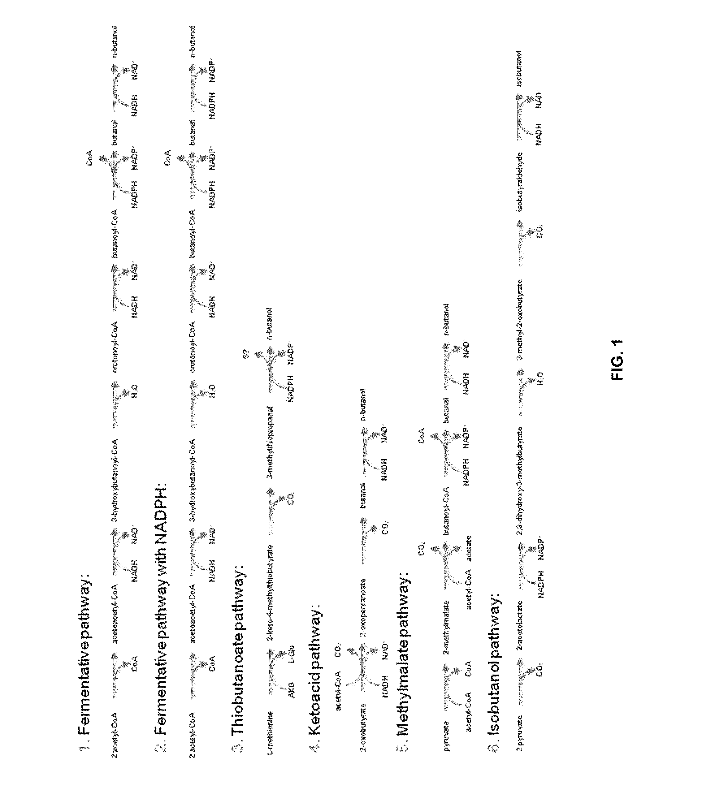 Biological Conversion of Multi-Carbon Compounds from Methane