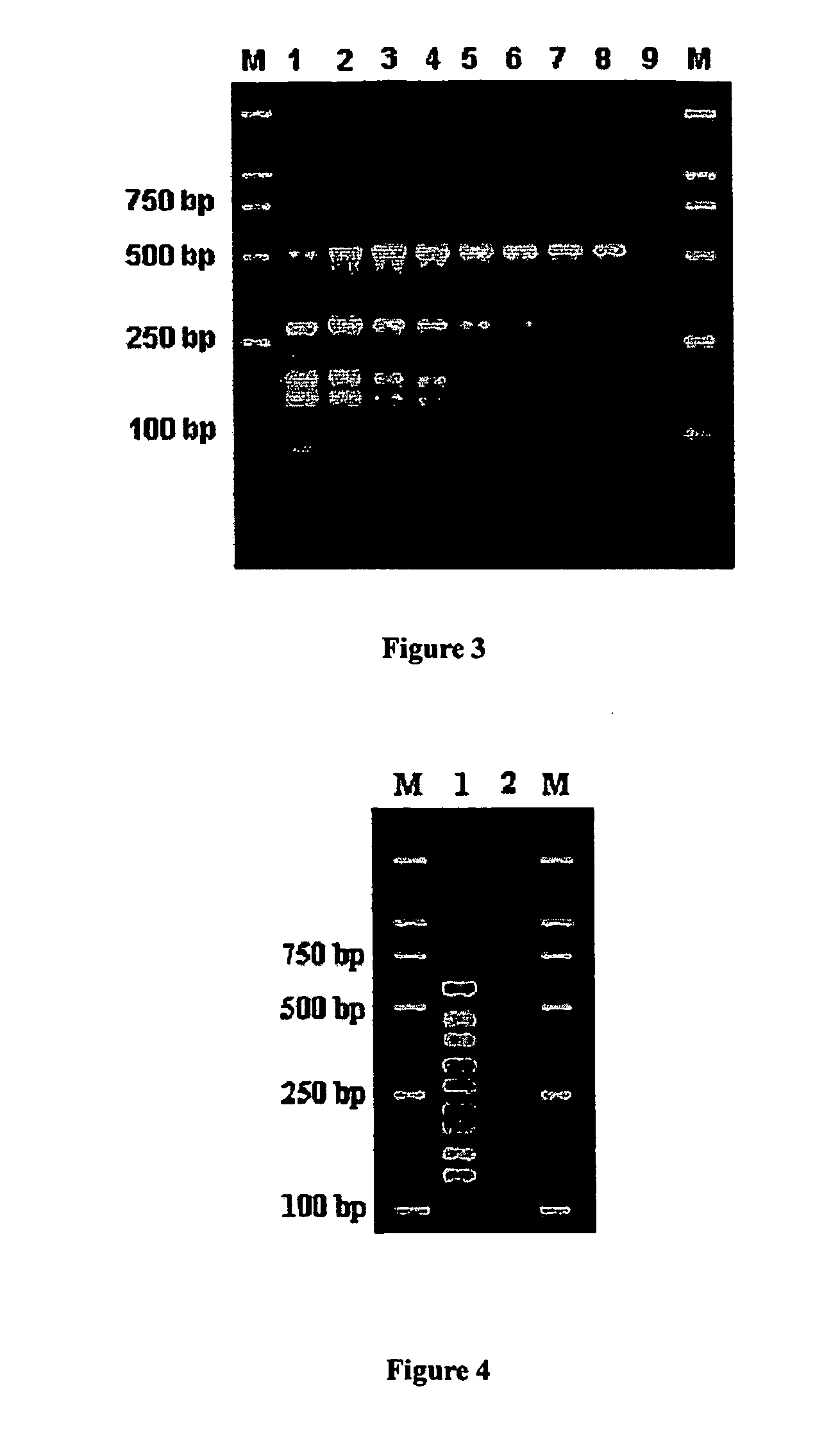 Methods and compositions for optimizing multiplex pcr primers