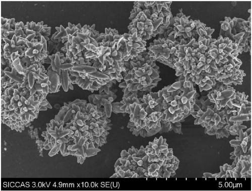 Method for preparing flower-sphere-shaped light calcium carbonate by using ultra-fine ground heavy calcium carbonate as seed crystal