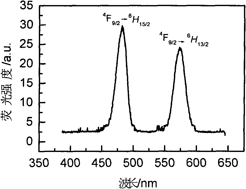 Rare earth ion doped oxyhalogen silicate glass and preparation method thereof