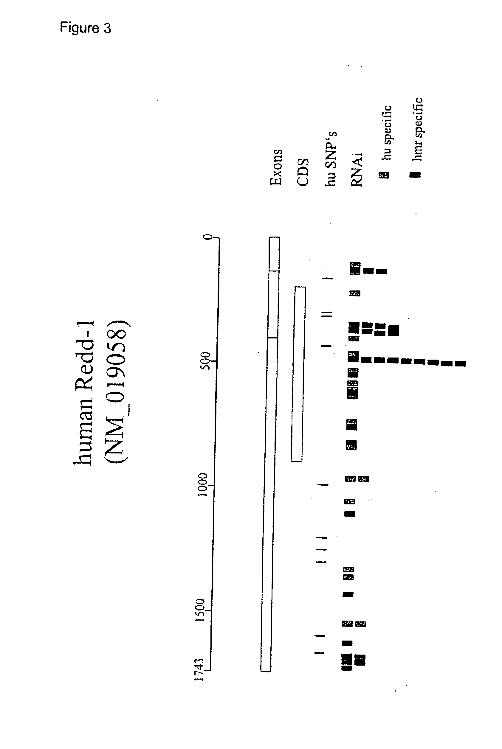 Therapeutic uses of inhibitors of RTP801