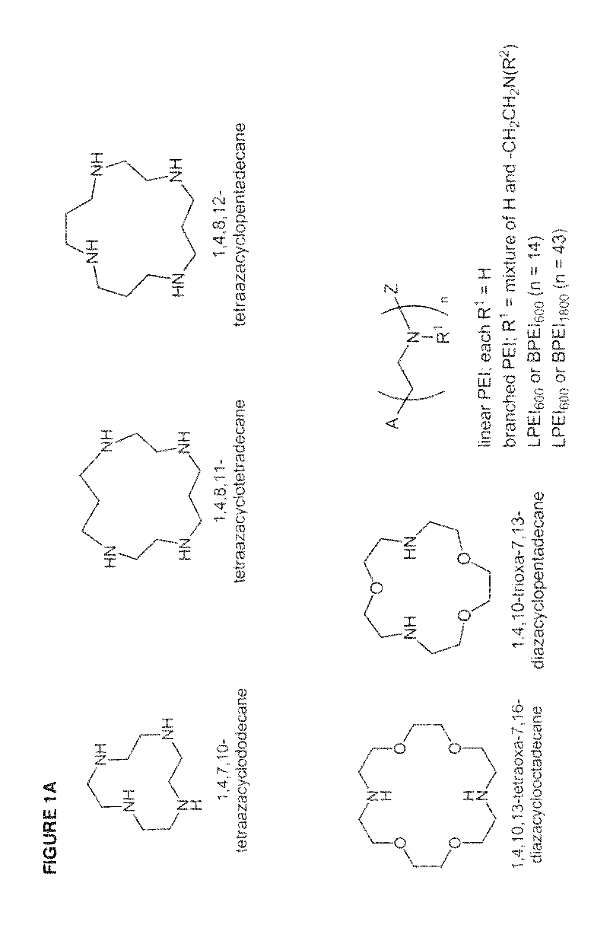 Conjugated lipomers and uses thereof