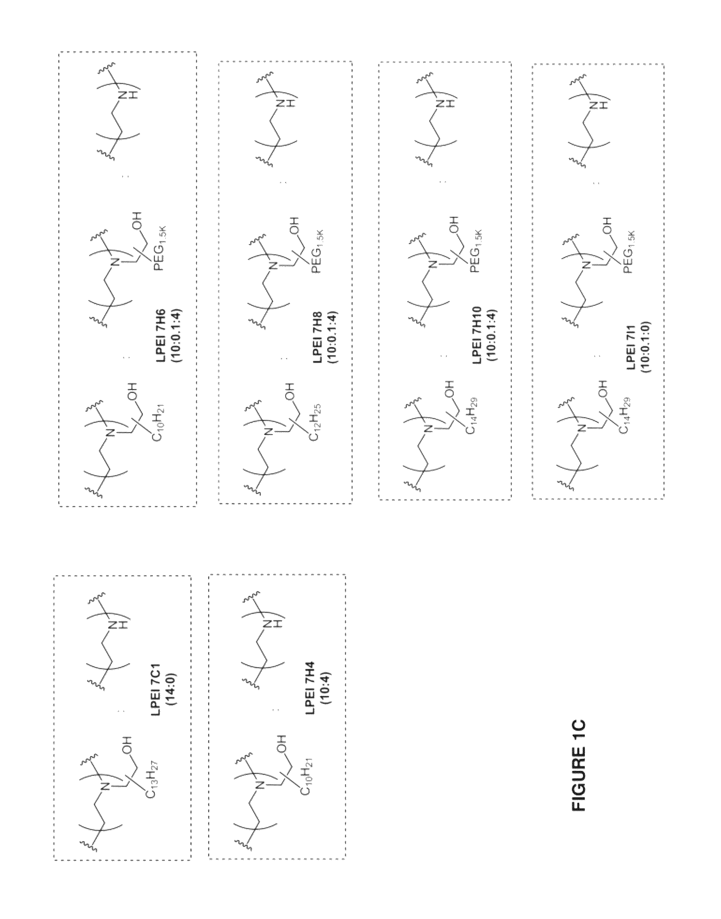 Conjugated lipomers and uses thereof