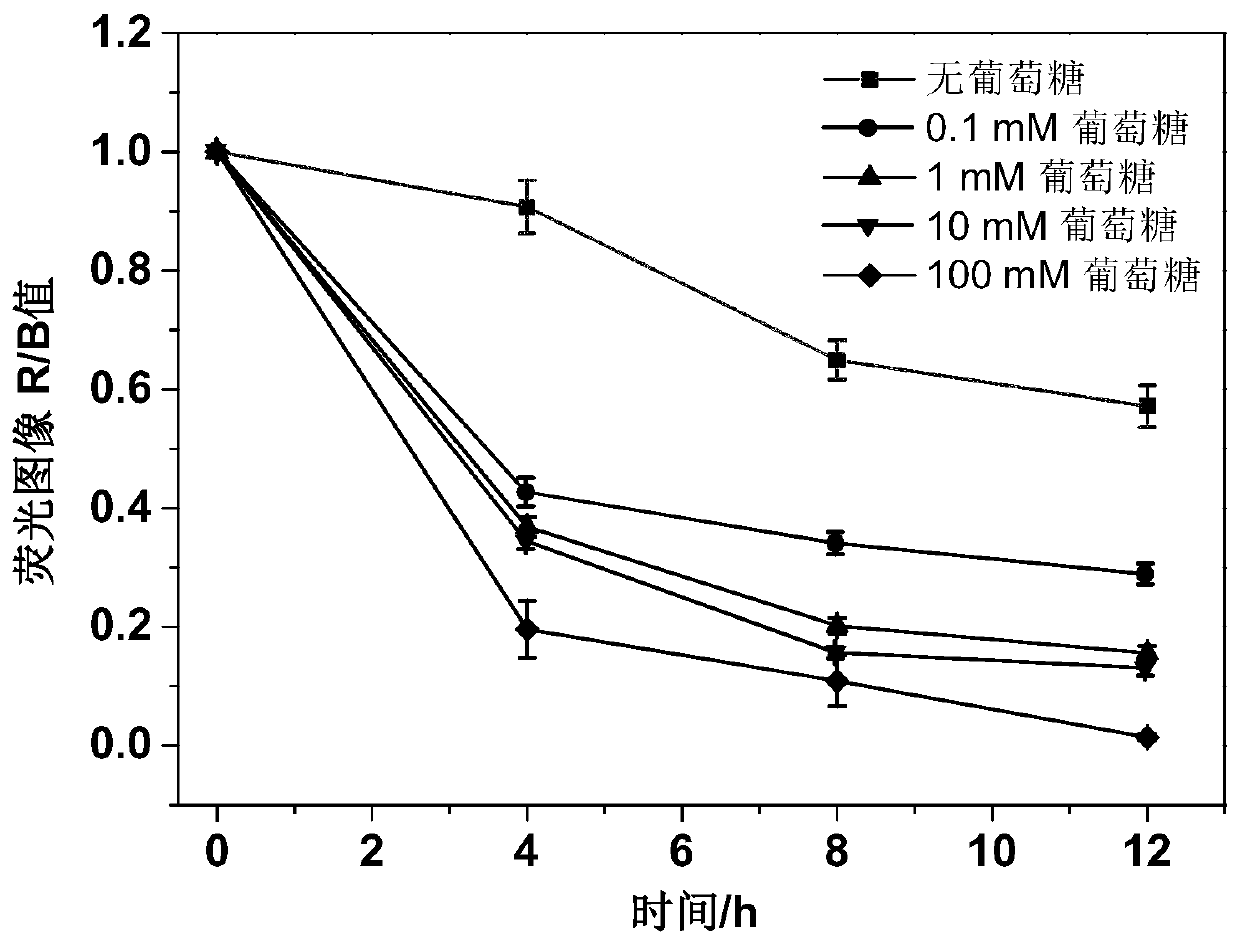 Polymer gel flexible film and visual detection method based on film for sweat glucose