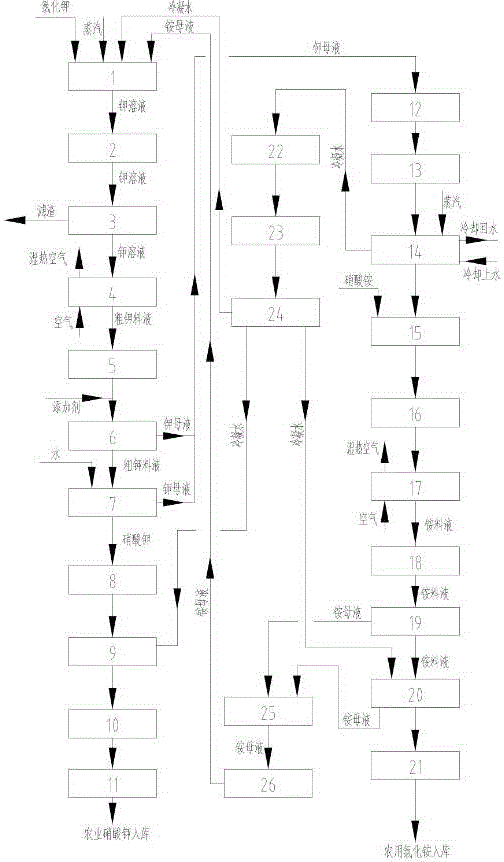 Process device for producing agricultural potassium nitrate through double decomposition circulation process