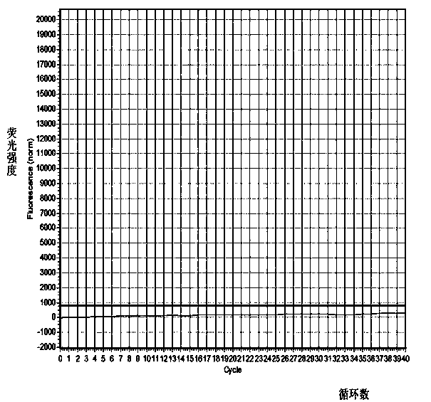 Method for preparing and detecting quick detection kit of raccoon component in foods and feeds