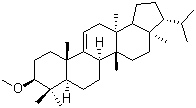 Pharmaceutical composition for treating diabetic encephalopathy