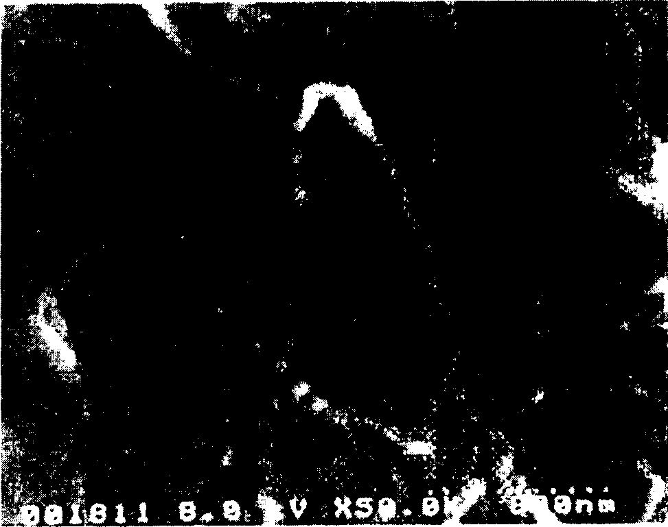 Method for the preparation of high purity carbon nanotubes using water