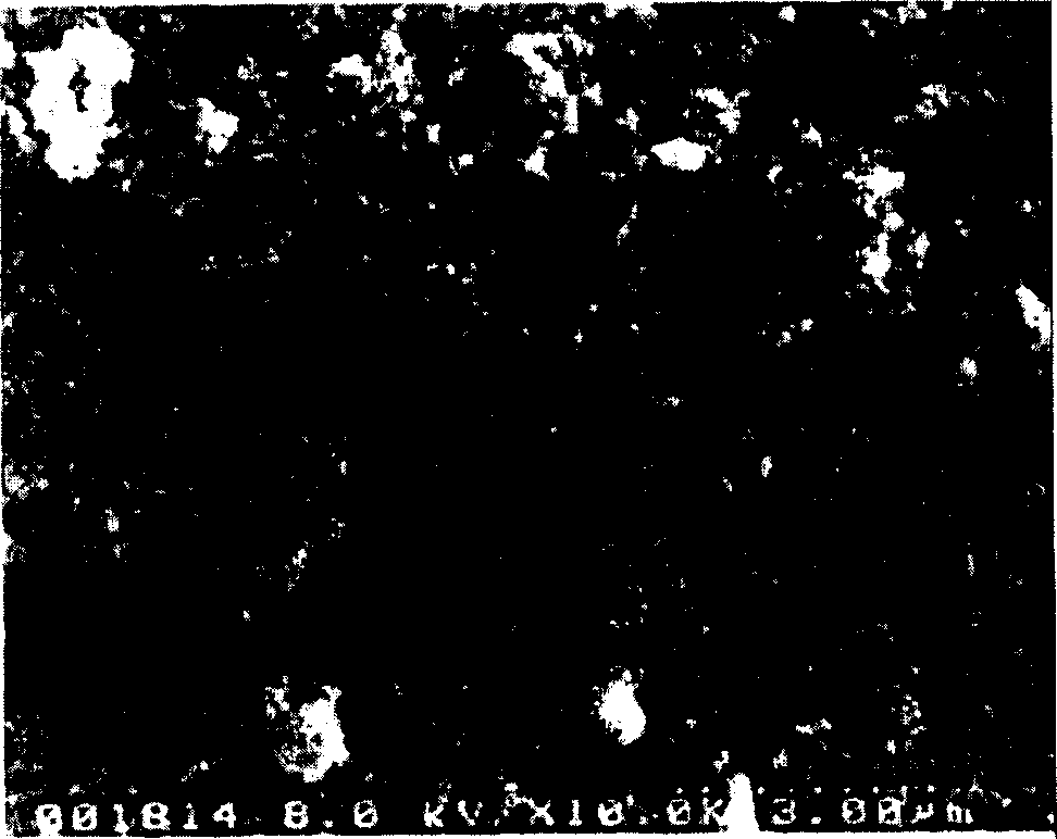 Method for the preparation of high purity carbon nanotubes using water