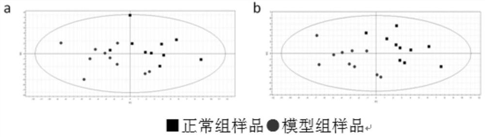 Serum metabonomics analysis method for rats treating hypertension caused by high fat diet